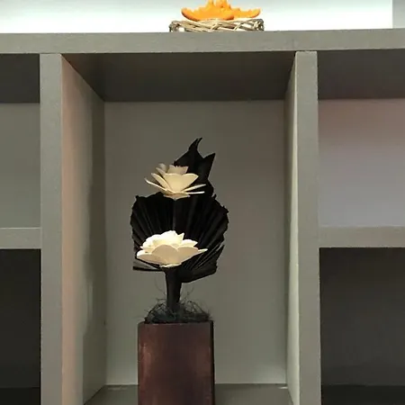 Apartment Criss Constanta