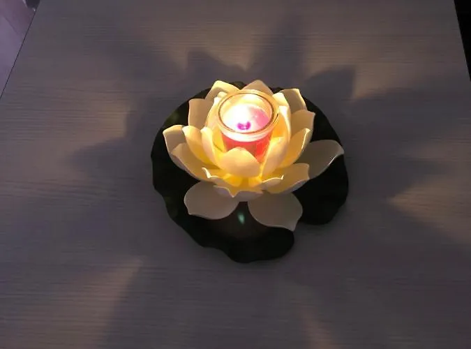 Apartment Criss Constanţa