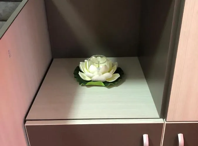 Criss Apartment Constanţa