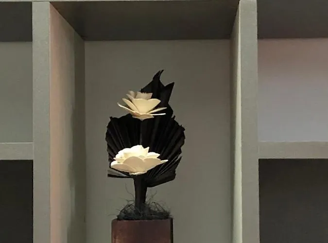 Apartment Criss Constanţa